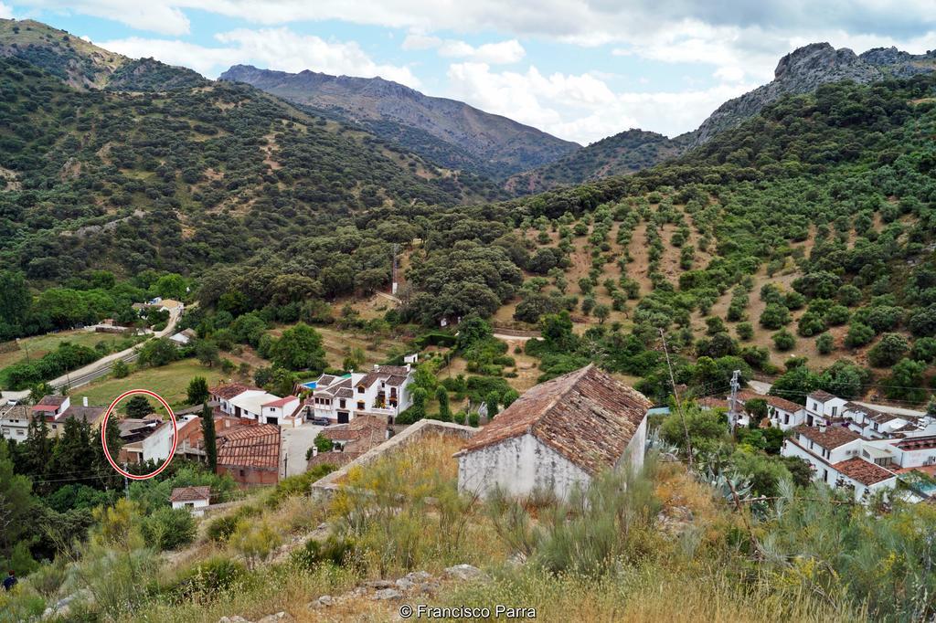 Casa Rural El Nacimiento Pensionat Benaoján Eksteriør billede